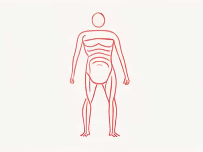 Forms The Lining Of Serous Body Cavities