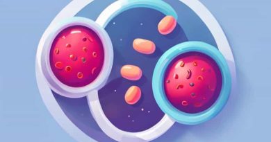 Glucose Enters Absorptive Cells This Way