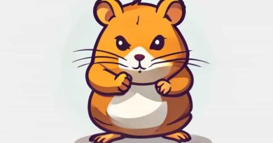 Hamster Kombat Daily Combo Daily Cipher