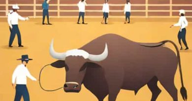 How Are Bulls Treated Before A Bullfight