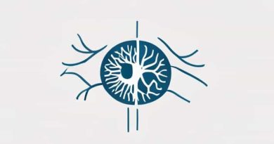 How Many Cranial Nerves Innervate The Eye