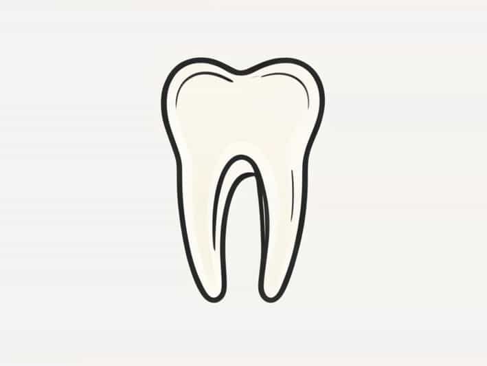 How Many Roots In Maxillary First Molar