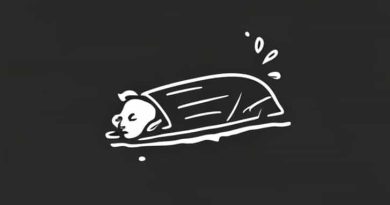 How Much Does It Cost To Cremate Someone