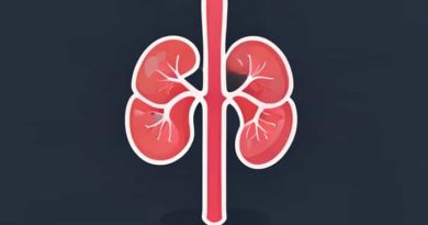 How Much Filtrate Does The Kidney Produce