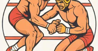 How To Injure Someone In Wrestling Empire