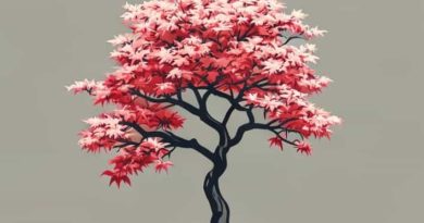 How To Prune An Overgrown Japanese Maple