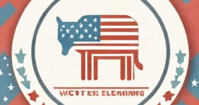 How To Vote 2024 United States Elections