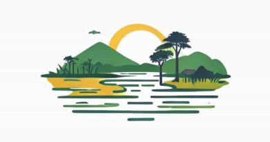 How Wide Is The Essequibo River In Guyana