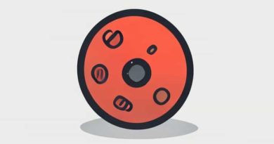 How Would You Describe A Noisome Object