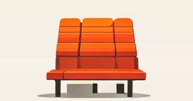 In India Seats Are Reserved For Women In