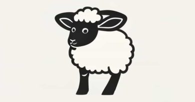 Lamb Has A Strong And Distinctive Flavor