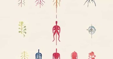 List Of Nerves And Muscles They Innervate