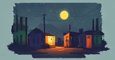 Literary Devices In Nightfall In Soweto