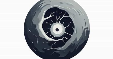 Localized Abnormal Dilation Of A Vessel