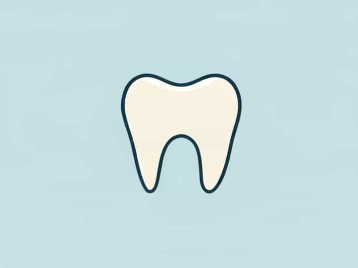 Name Of Canals In Maxillary First Molar