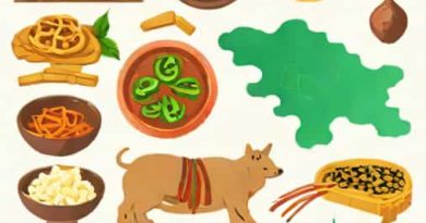 Name The Popular State Delicacy Of Sikkim