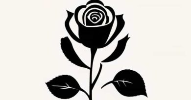 Narciso Rodriguez For Her Musc Noir Rose