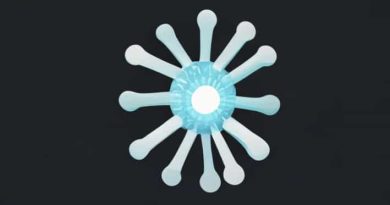 Nucleus Is Homogeneous With 2 4 Nucleoli