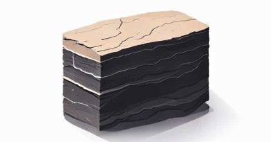 One Method To Correlate Rock Layers Is To