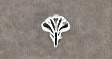 Orris Carnation Sector 85 Gurgaon Review