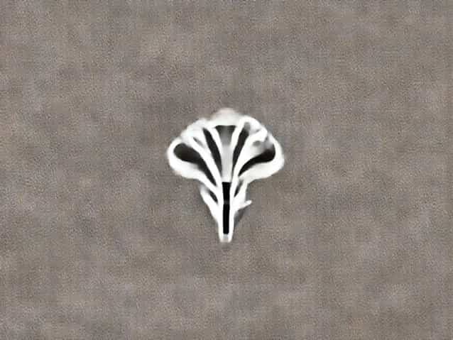 Orris Carnation Sector 85 Gurgaon Review