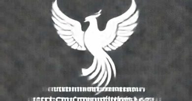 Phoenix Distribuidora De Combustiveis S A