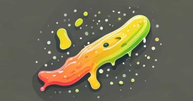 Process By Which Slime Moulds Engulf Food