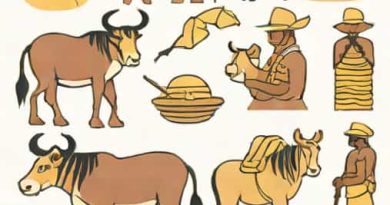 Section 59 Of Traditional And Khoisan Act