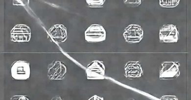Segmentation By Morphological Watersheds