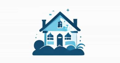 Synopsis Of The House In The Cerulean Sea