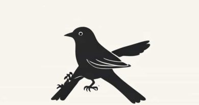 The Birds Work For The Bourgeoisie Shirt