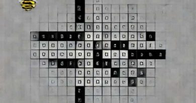 The Clues Bee Cryptically Crossword Clue
