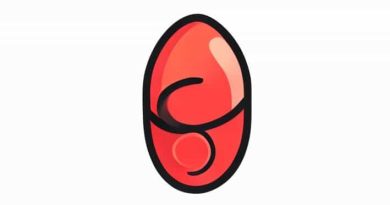 The Epiglottis Is Attached To The Quizlet