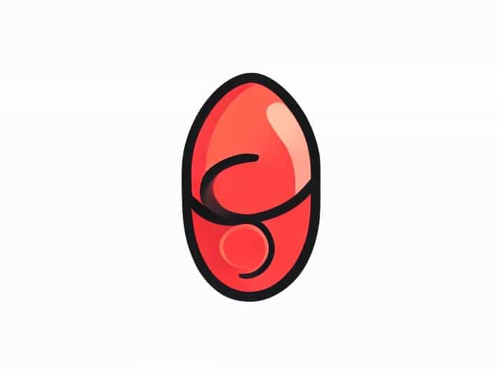 The Epiglottis Is Attached To The Quizlet