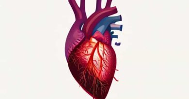 The Great Cardiac Vein Runs Alongside The