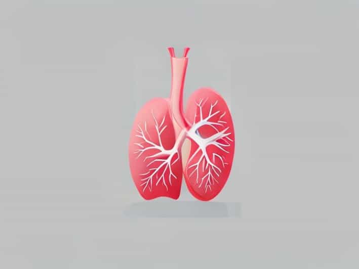 The Only Organ That Can Regenerate Itself