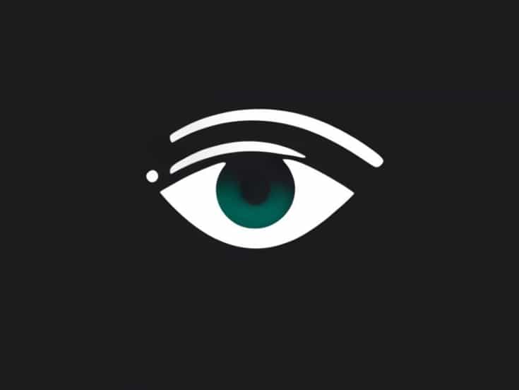 The Part That Blinks To Moisten The Eye