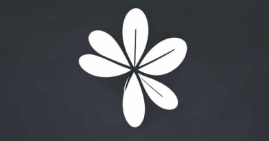 The Perks Of Being A Wallflower Zwiastun