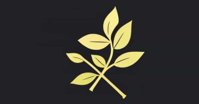 The Petiole Help Hold The Blade To Light