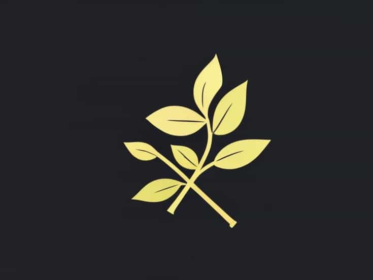 The Petiole Help Hold The Blade To Light