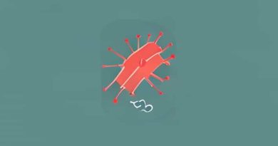 Typhoid Is Caused By Bacteria Or Protozoa