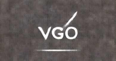 Vgo Whitening And Freckle Removing Cream