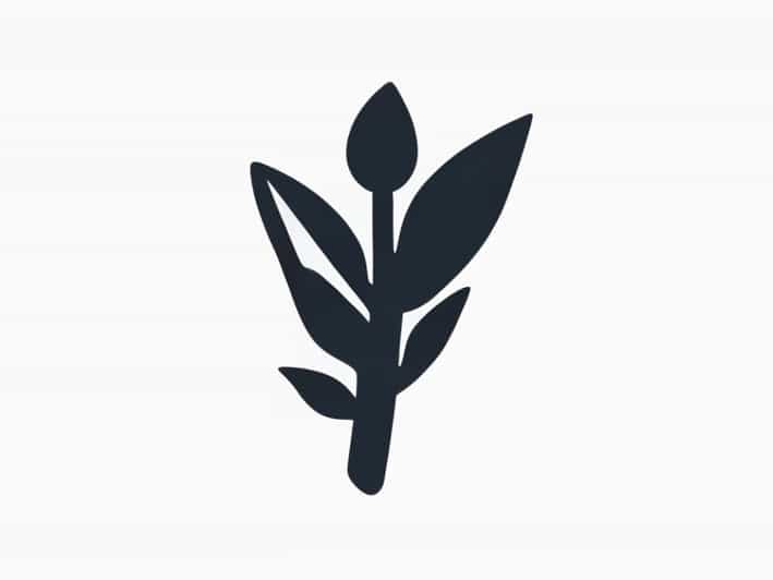 What Happened To Aaron'S Rod That Budded