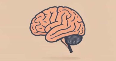 What Is Senile Degeneration Of The Brain