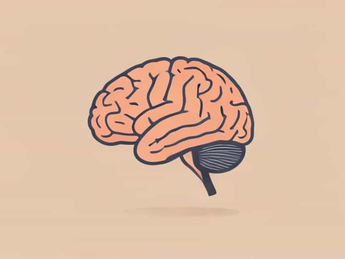 What Is Senile Degeneration Of The Brain