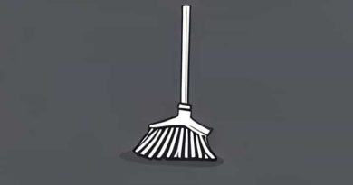 What Is The Best Mop For Hardwood Floors