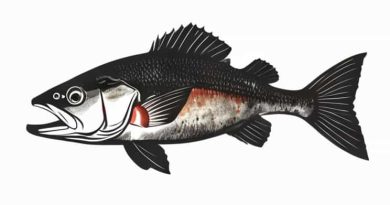 What Is The Biggest Crappie Ever Caught