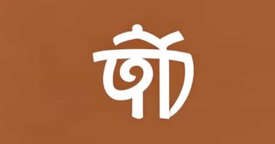 What Is The Meaning Of Adamant In Hindi