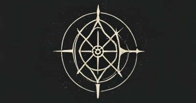 What Is Transfiguration In Harry Potter