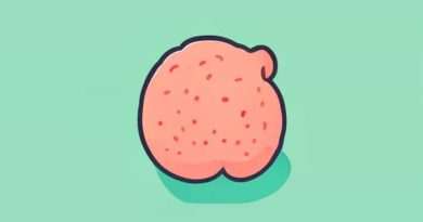 Where Is The Adipose Tissue Found Quizlet